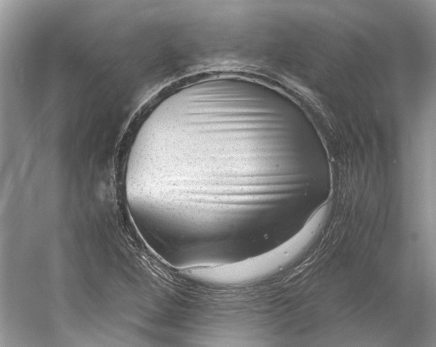 X0000060551264200511171529