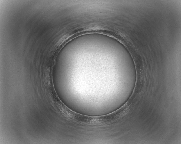 X0000060551265200511171529