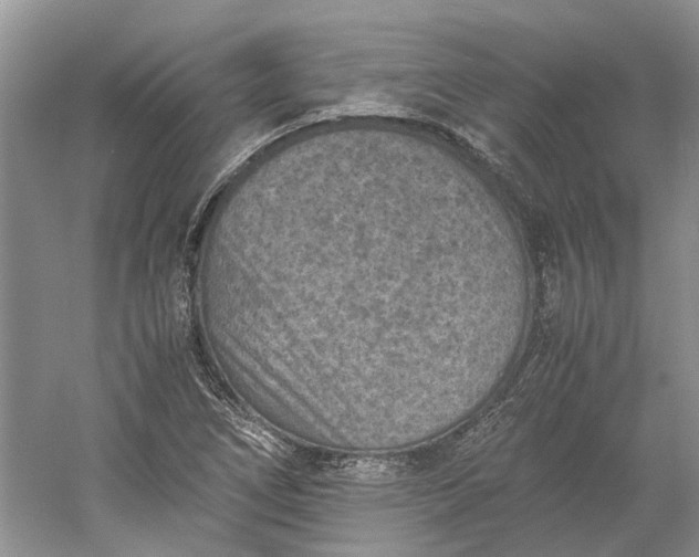 X0000060551266200511171529