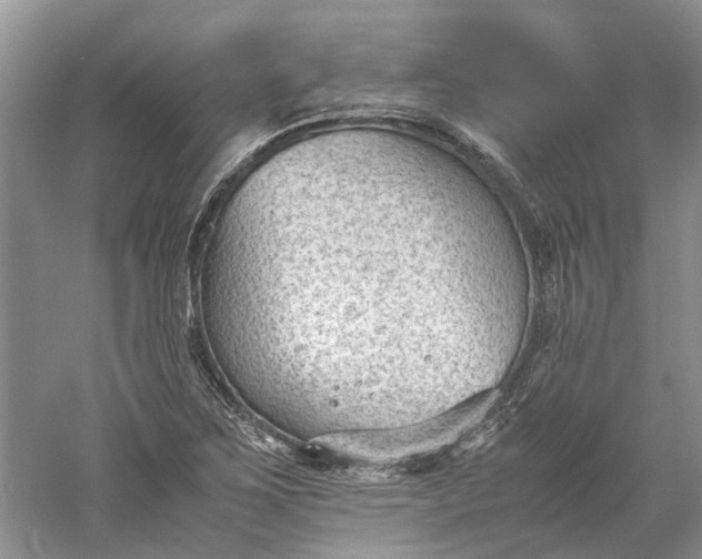 X0000060551267200511171529