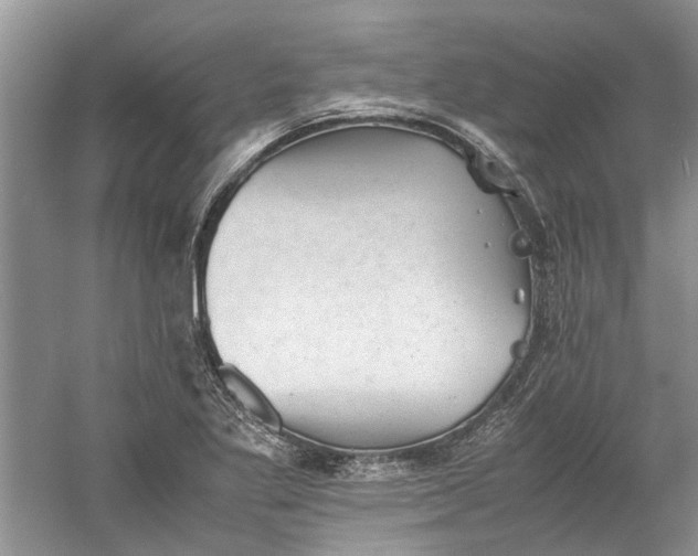 X0000060551269200511171529