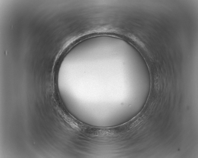 X0000060551270200511171529