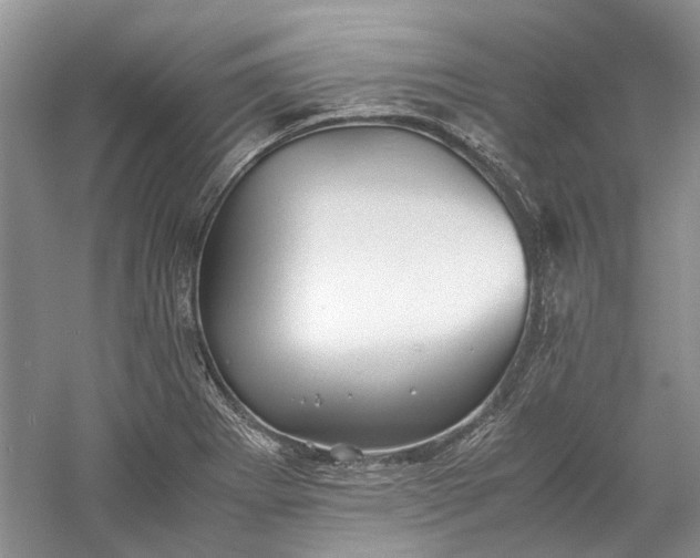 X0000060551273200511171529