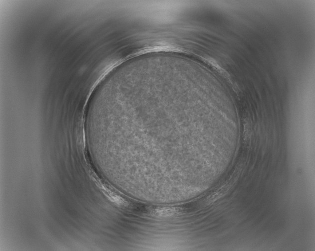 X0000060551274200511171529