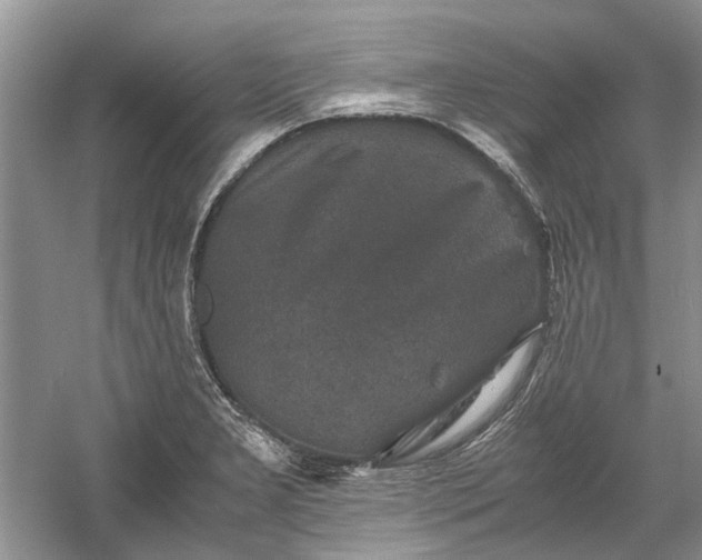 X0000060551277200511171529