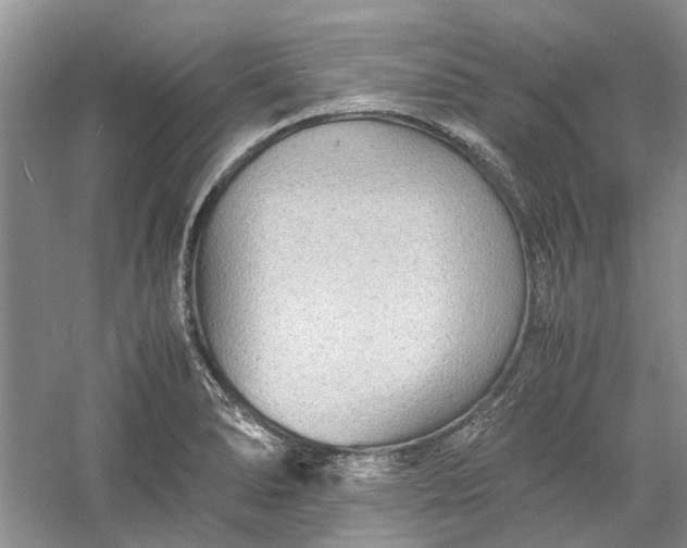 X0000060551278200511171529