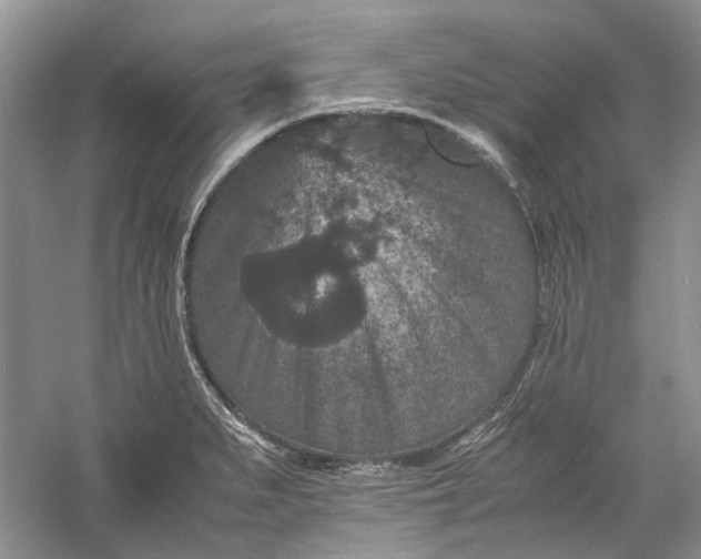 X0000060551279200511171529