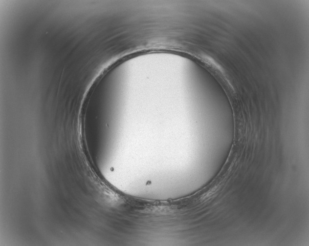 X0000060551280200511171529