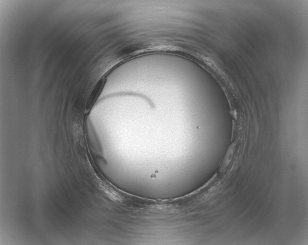 X0000060551281200511171529