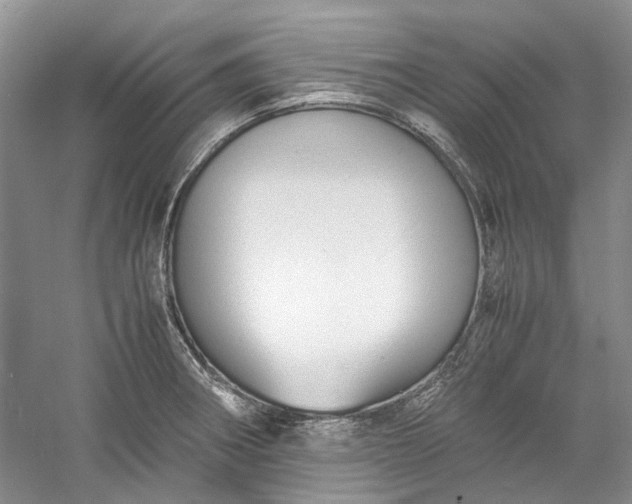 X0000060551282200511171529