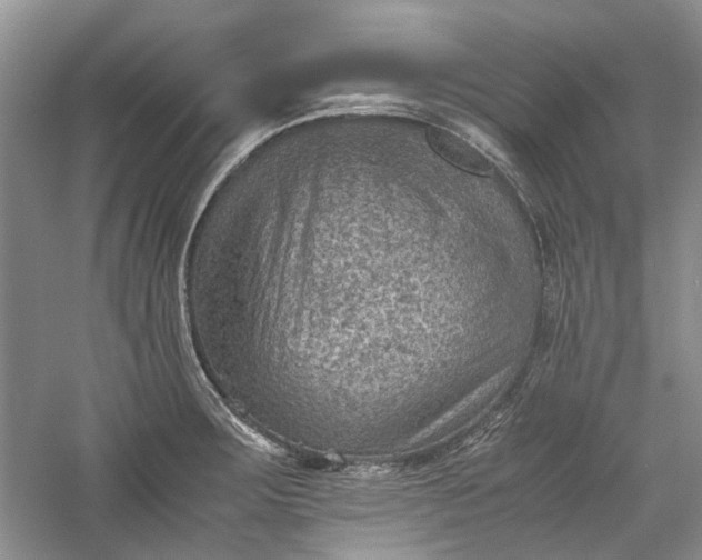 X0000060551283200511171529