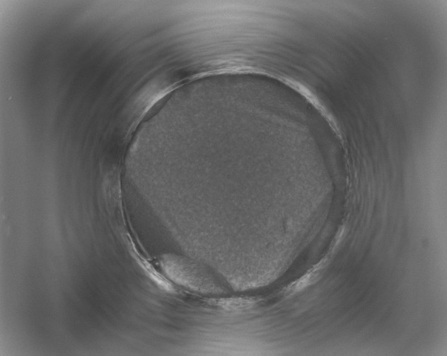 X0000060551289200511171529