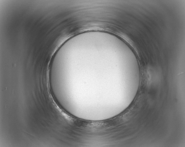 X0000060551290200511171529