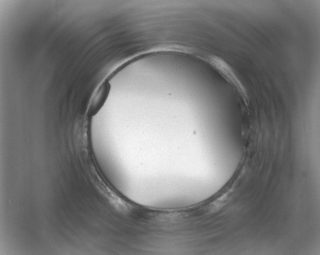 X0000060551292200511171529