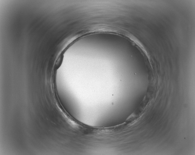 X0000060551293200511171529