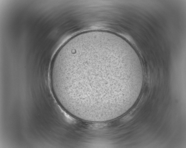 X0000060551294200511171529