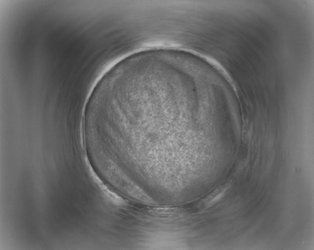 X0000060551295200511171529