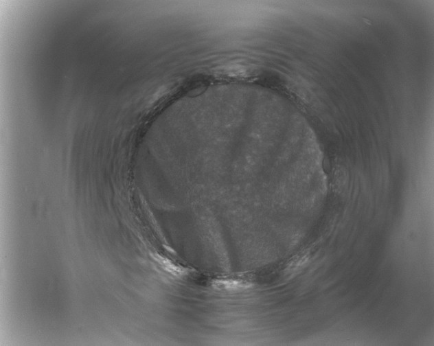 X0000060551297200511171528