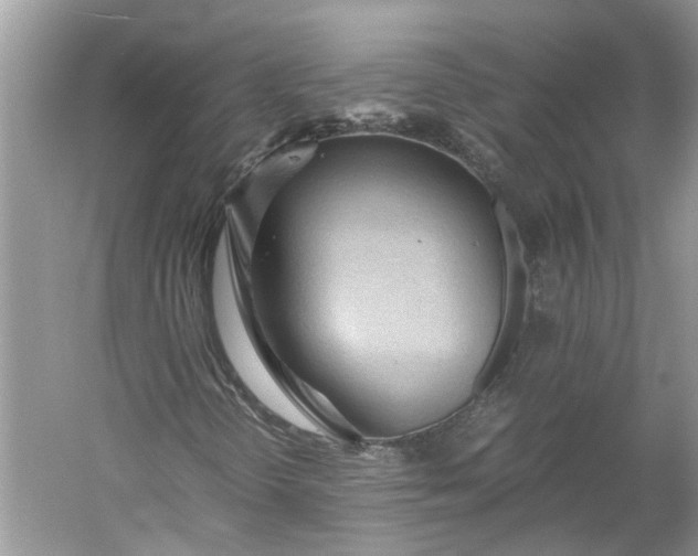 X0000060551298200511171528