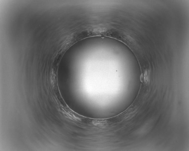 X0000060551299200511171528