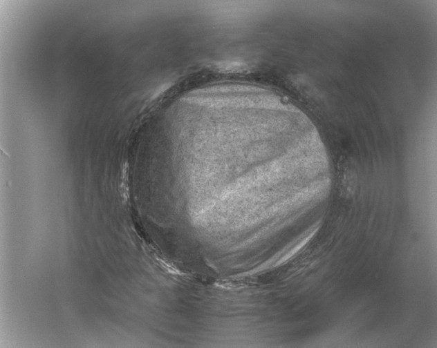 X0000060551301200511171528