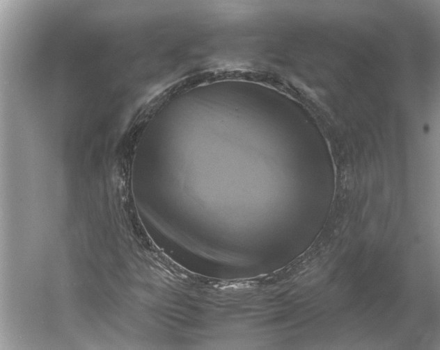 X0000060551303200511171528