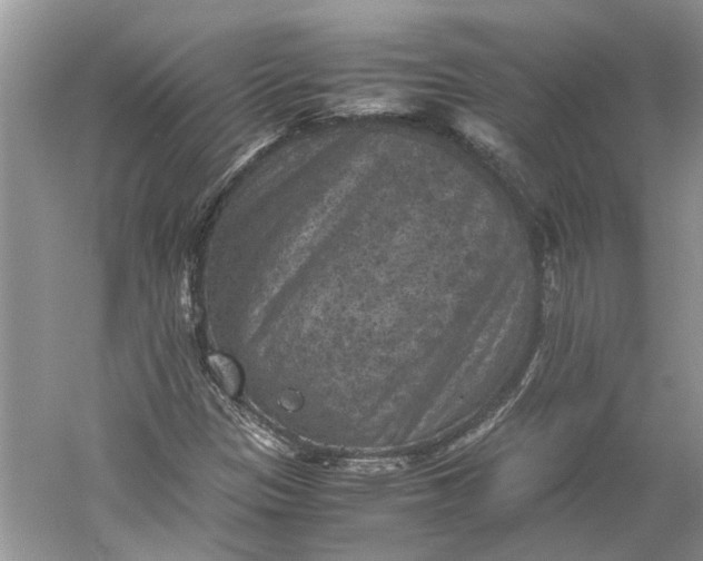 X0000060551305200511171528