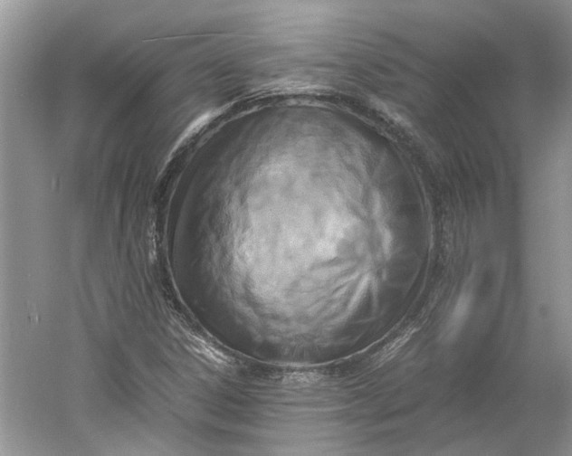 X0000060551306200511171528