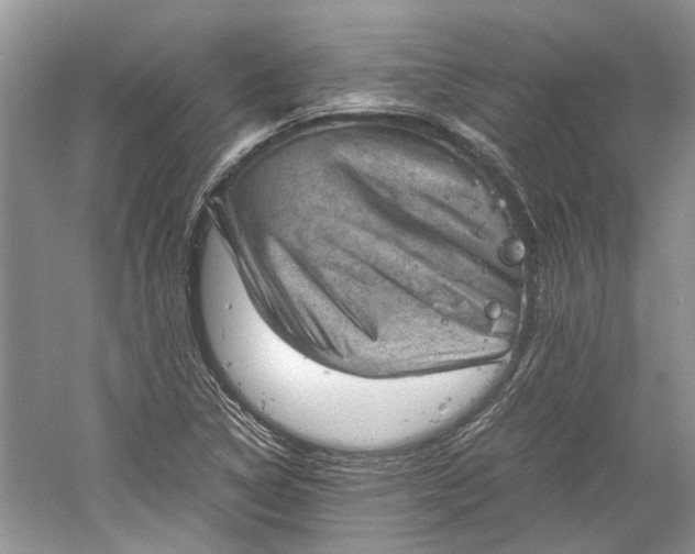 X0000060551314200511171528