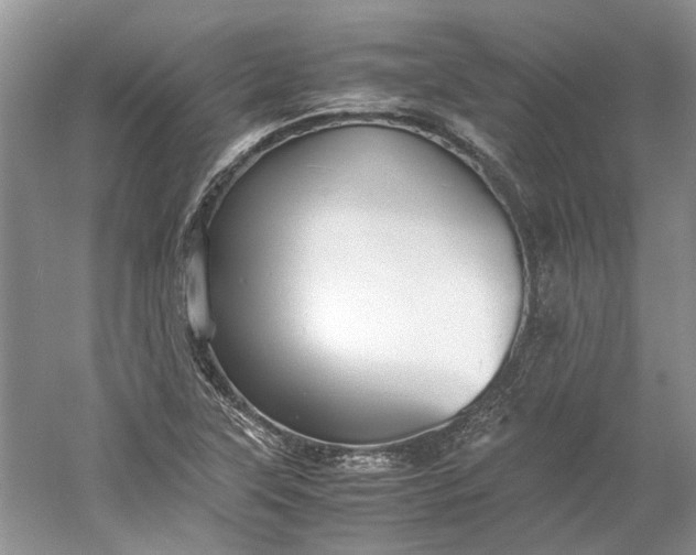 X0000060551315200511171528