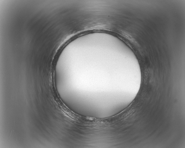 X0000060551316200511171528