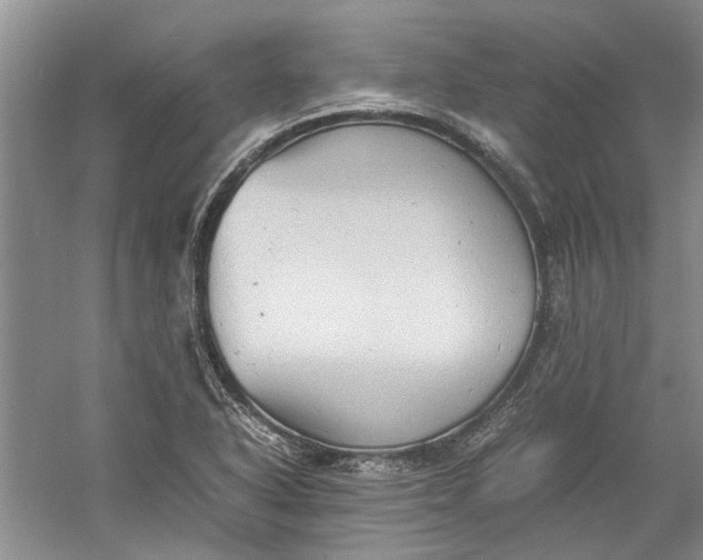 X0000060551318200511171528