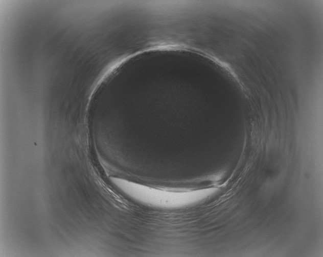 X0000060551319200511171528