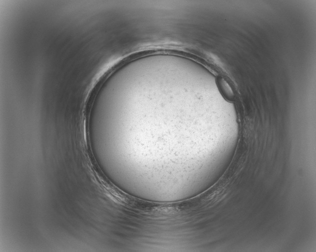 X0000060551320200511171528