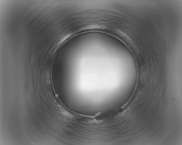 X0000060551321200511171528