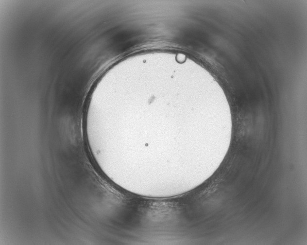 X0000060551322200511171528