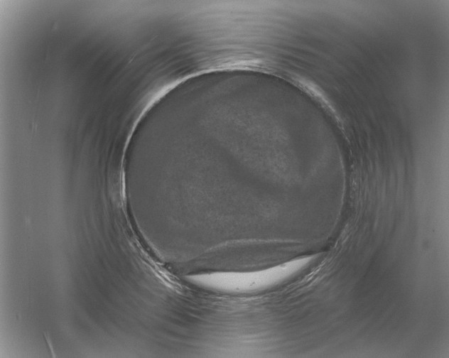 X0000060551324200511171528