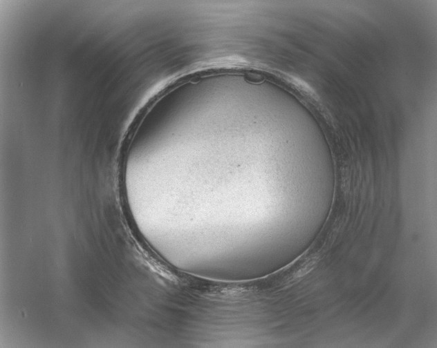 X0000060551326200511171528