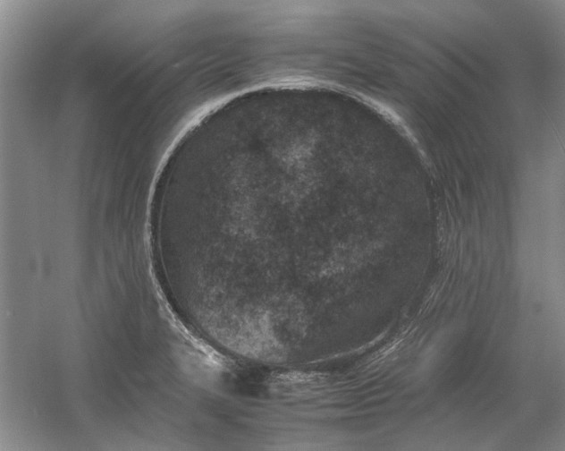 X0000060551327200511171528