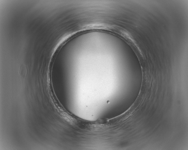 X0000060551328200511171528