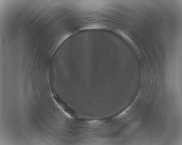 X0000060551329200511171528