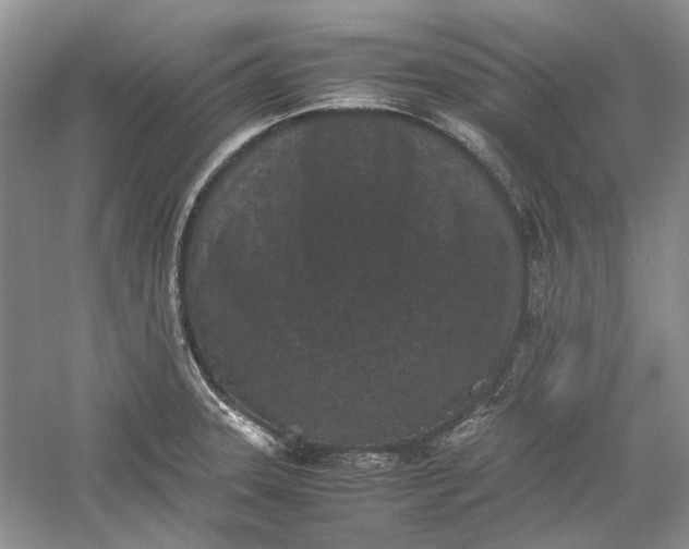 X0000060551331200511171529