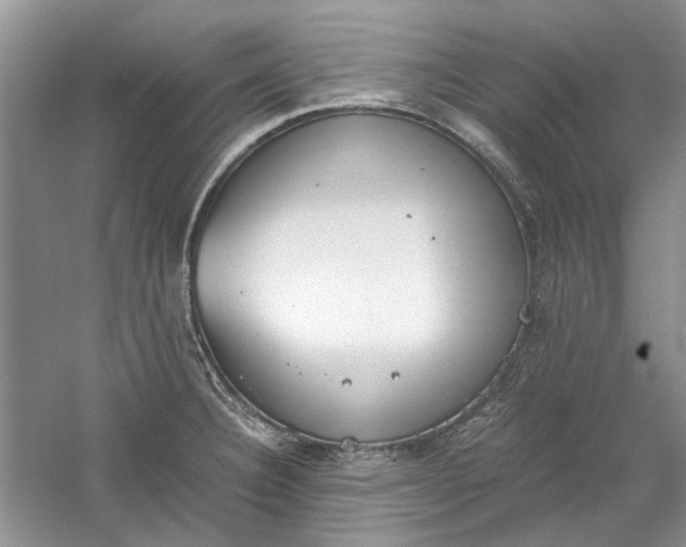 X0000060551332200511171529