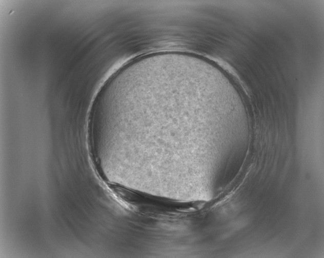 X0000060551333200511171529