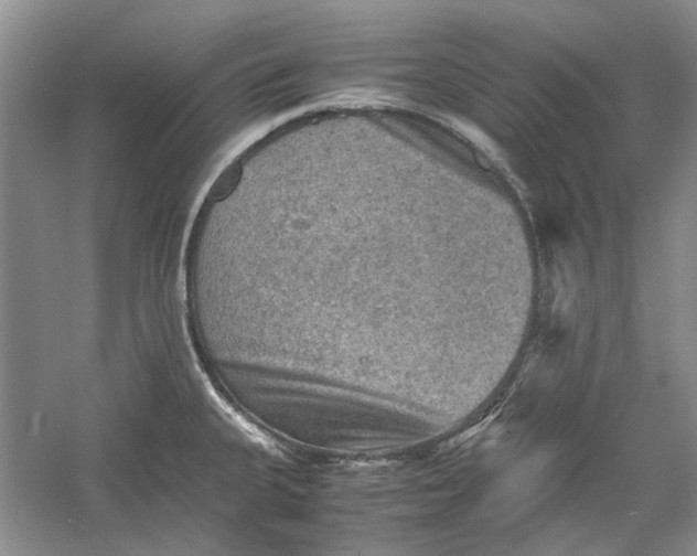 X0000060551335200511171529