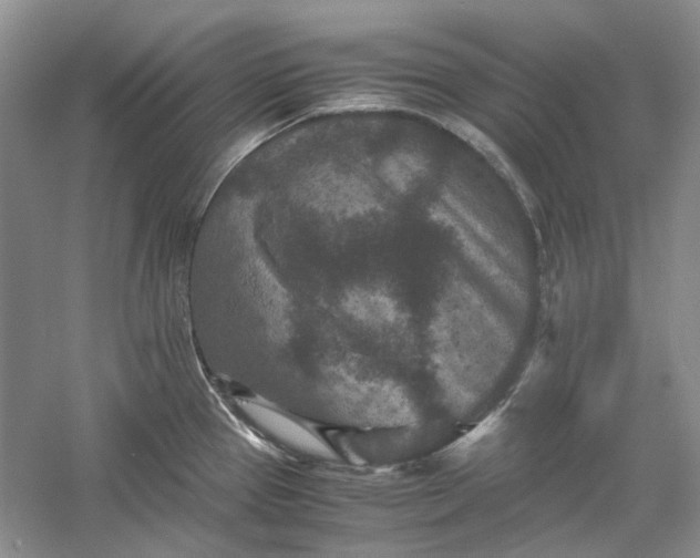 X0000060551337200511171529