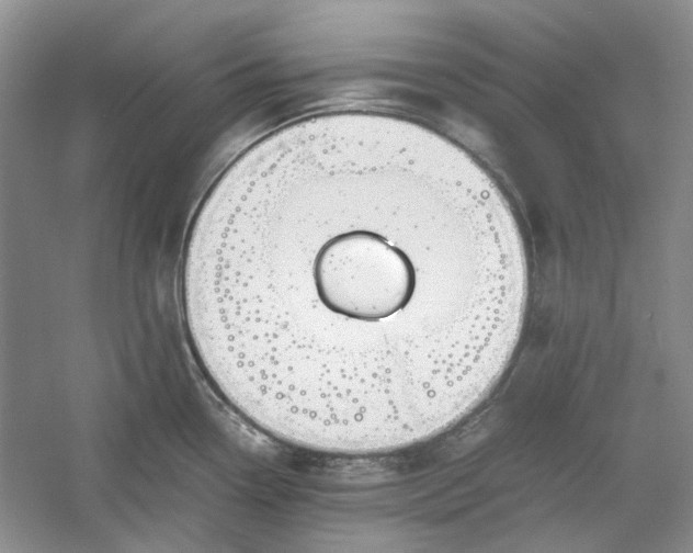 X0000060551338200511171529