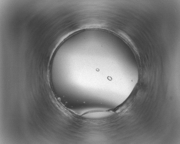 X0000060551340200511171529