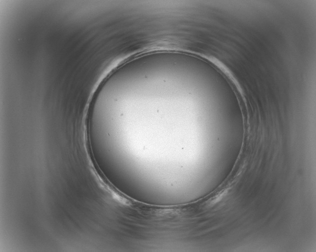 X0000060551341200511171529