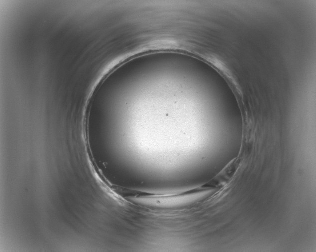 X0000060551342200511171529